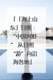 「海上山东」日照：“中国对虾” 从日照“游”向沿海各地
